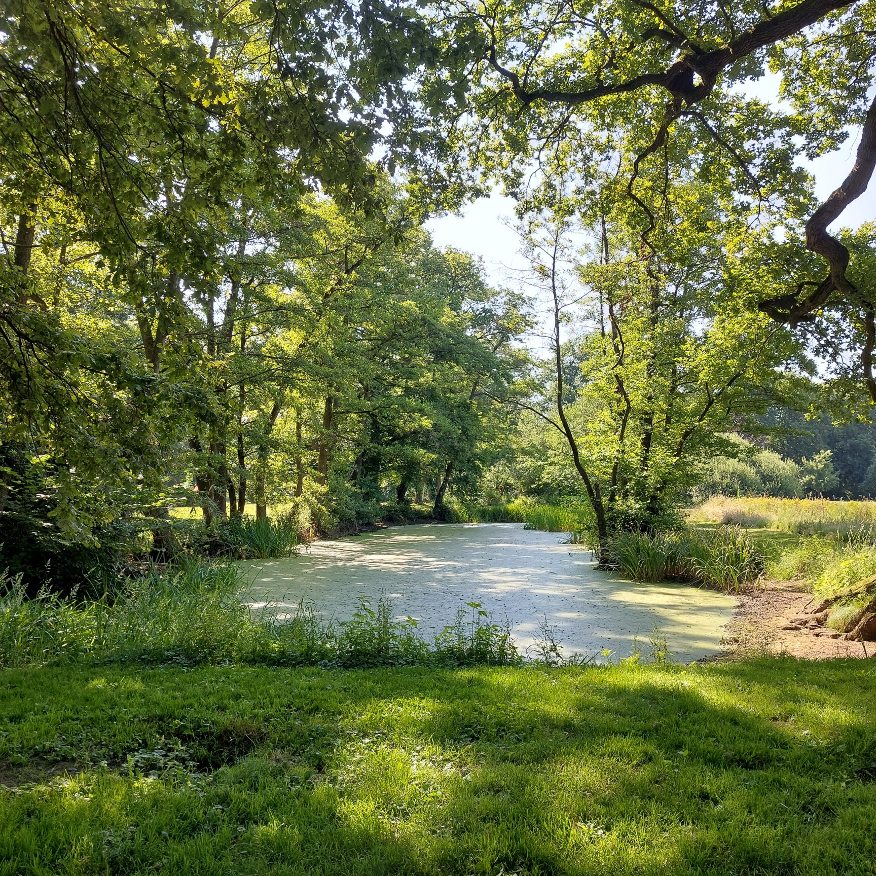 Im Park in Spich am frühen Samstagvormittag